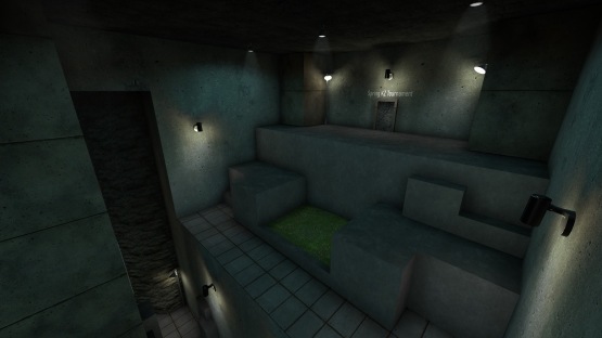 kz_kiwivision