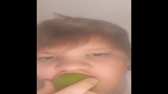 vnl_limelemon