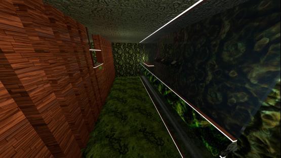 kz_chloroplast